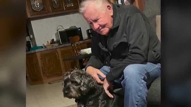 The search for Lucky the Dog: Man sentenced in theft of car