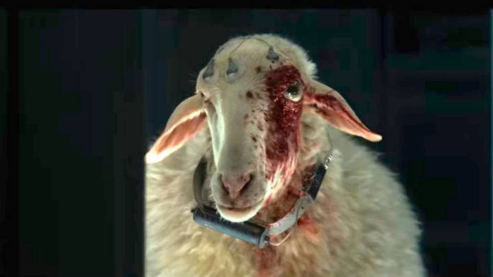 ALIEN: EARTH's Most Terrifying Creature Is a Sheep