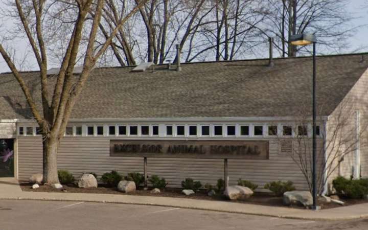 Several sickened as gas leak forces evacuation of Excelsior veterinary clinic