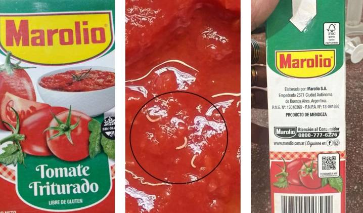 No eran gusanos, sino brotes: la Anmat retira la advertencia sobre el tomate triturado Marolio