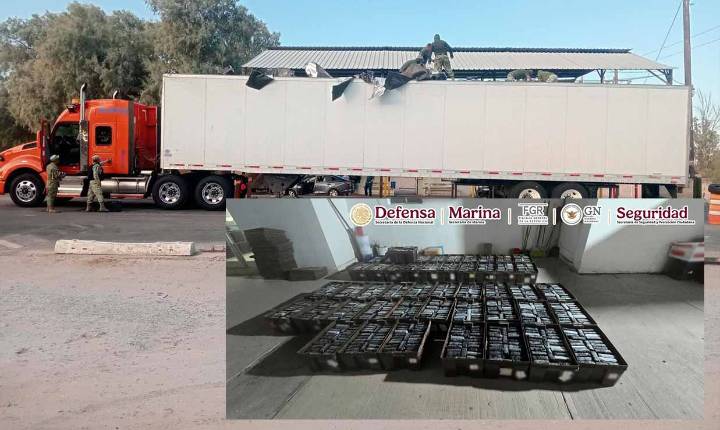 Autoridades incautan en Sonora 1200 paquetes con cocaína ocultos en un traíler