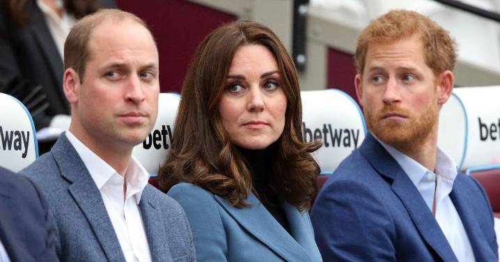 'I worked for Prince Harry, William and Kate- we must accept harsh truth of feud'