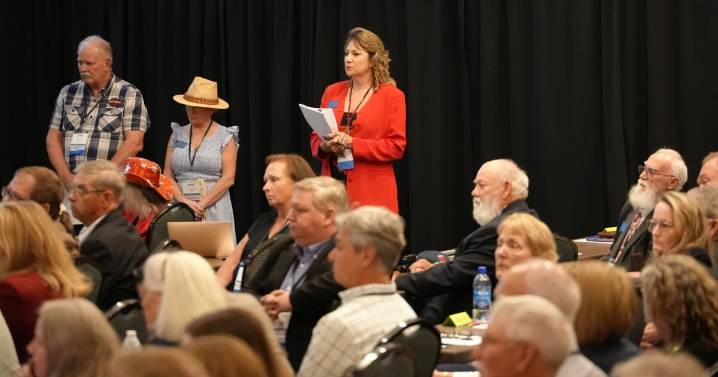 Three state senators sue Montana GOP over removal from party convention