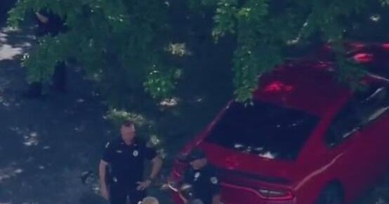 Boy hospitalized after attacked by dogs at Margate home