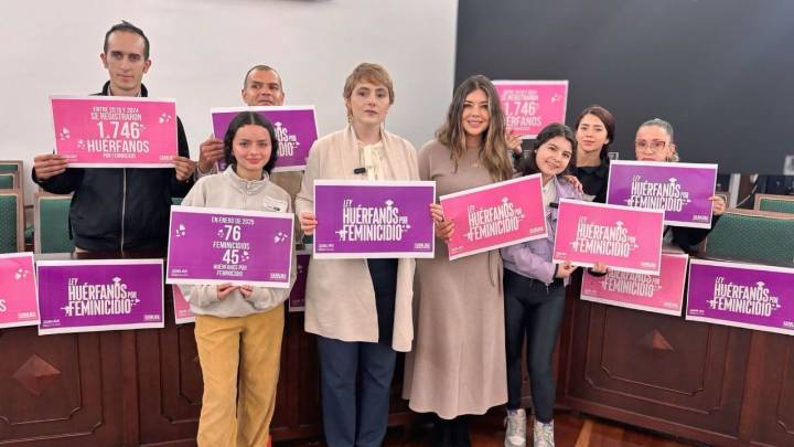 La Ley Huérfanos por Feminicidio entra en vigencia tras sanción presidencial