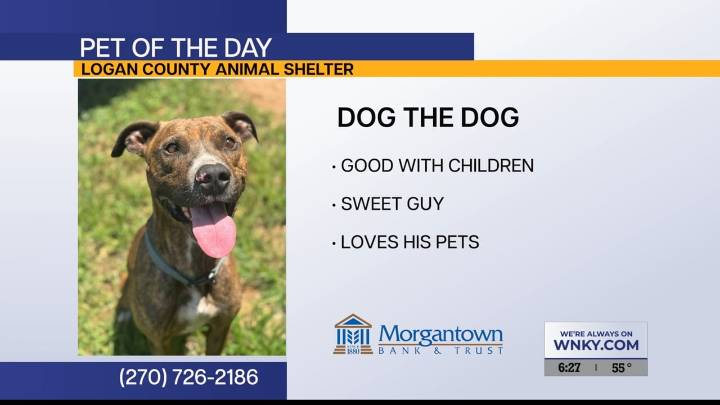 Pet of the Day: Dog the Dog