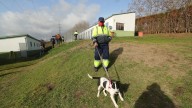 Crecen las adopciones en el albergue canino de Ponferrada