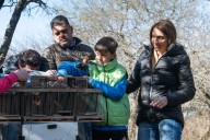 En una zona rural de El Tío, liberaron más de 60 especies silvestres rescatadas del cautiverio