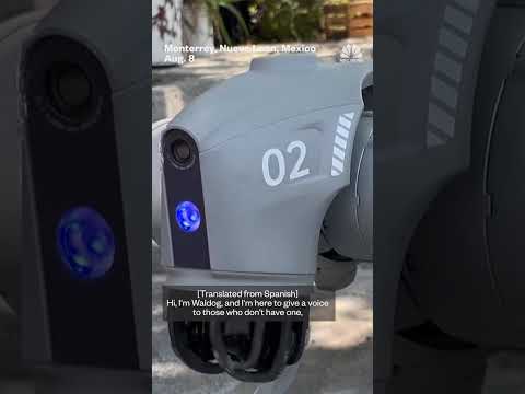 Robot dog in Mexico raises awareness on animal welfare