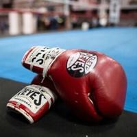 Deaths could spell end for Japanese boxing, says commission chief