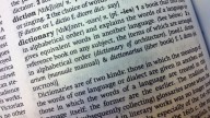 Cambridge Dictionary new words: Skibidi, delulu, tradwife & more