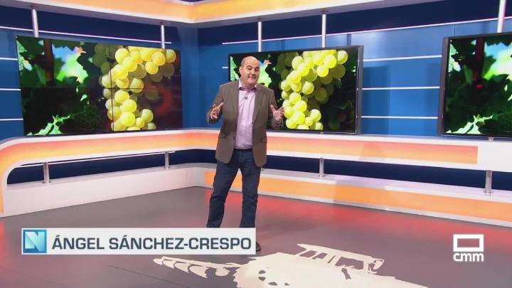 El campo - 29/08/2025