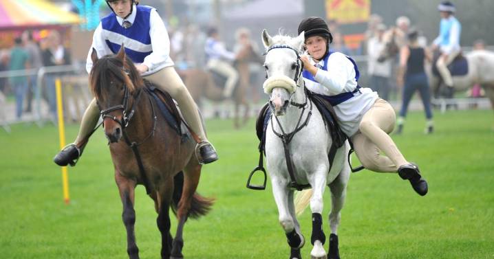 Autumn Show & Horse Trials to return to Sussex in 2025