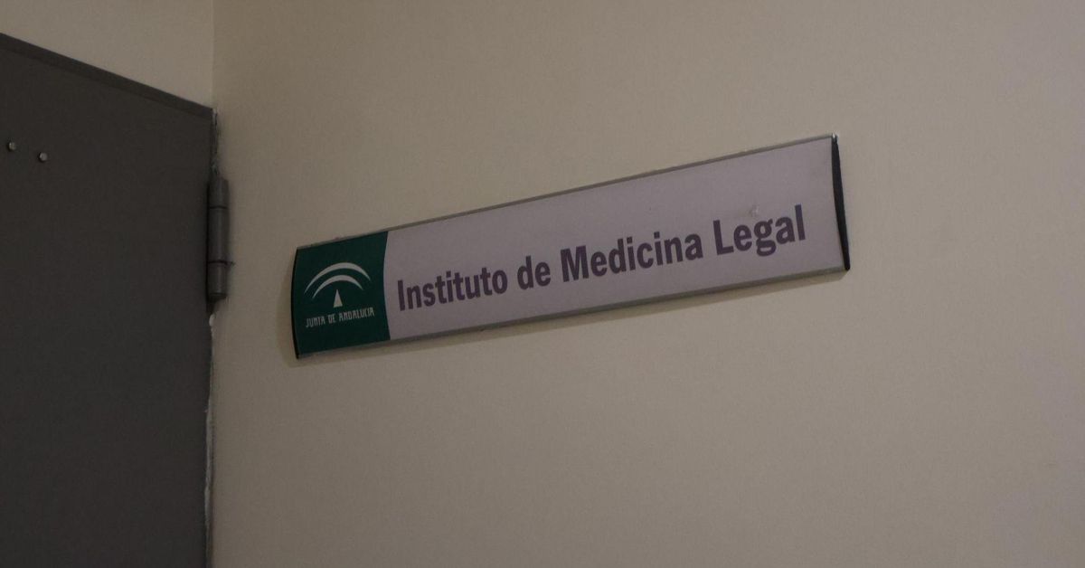 El Instituto de Medicina Legal de Málaga actúa en 190 casos de presuntas agresiones sexuales