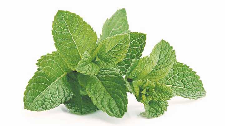 Los beneficios de su té