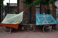 Bangladesh dengue deaths top 100, August could be worse