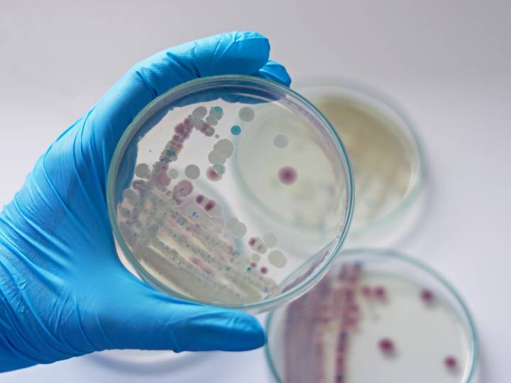 Alerta en EE.UU. por el aumento de casos de la bacteria “come carne”: ya son 8 los muertos en 2025