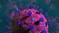Should We Be Concerned About the XFG COVID Variant?