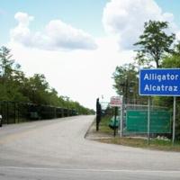 Inside Trump's 'Alligator Alcatraz': detainees allege abuse in a legal black hole