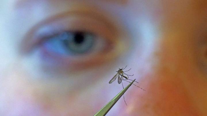 Human case of West Nile virus confirmed in Louisville