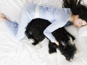 Por qué las mujeres duermen mejor con perros que con su pareja