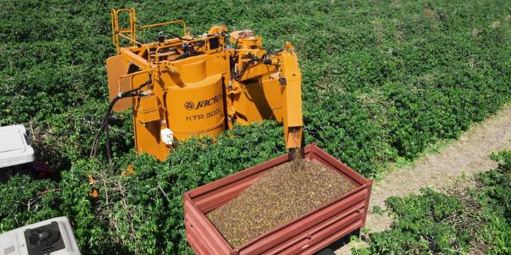 Aprobada Ley Chlimper 2.0: se reduce el impuesto a agroexportadoras en 15%, beneficiándose con S/ 20 mil millones