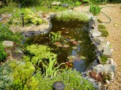 Iowa State University Extension and Outreach Launches Monthly ‘Garden Q&A Live’ Program