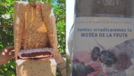 Mosca de la fruta amenaza los precios de productos agrícolas