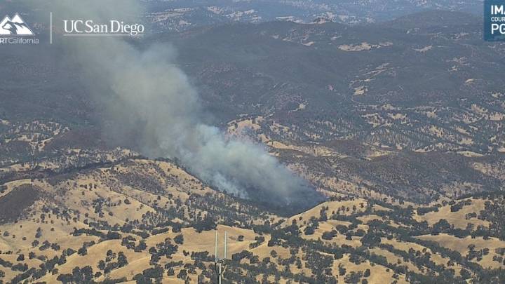 Incendio arrasa con varios acres de vegetación en el condado Napa