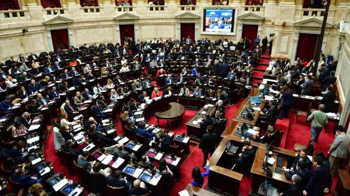 Cómo votó cada diputado el veto de Milei a la Ley de Emergencia en Discapacidad