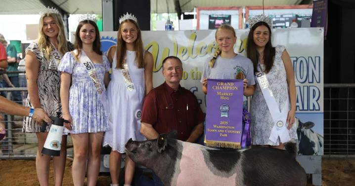 Yoders on top: Family notches grand champion, best-in-class wins in market hog show