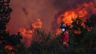Incendios en España hoy, última hora en directo | El incendio de Porto, en Zamora, vuelve a saltar a León