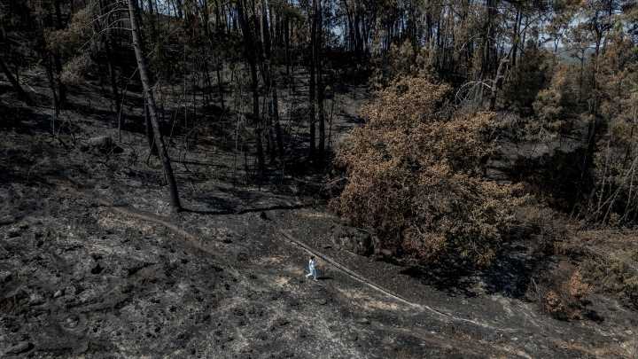 El incendio de Pena Trevinca que la Xunta no veía ha arrasado 5.000 hectáreas