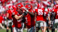 Defensive lineman Jordan Hall breaks down what Georgia football has at RB