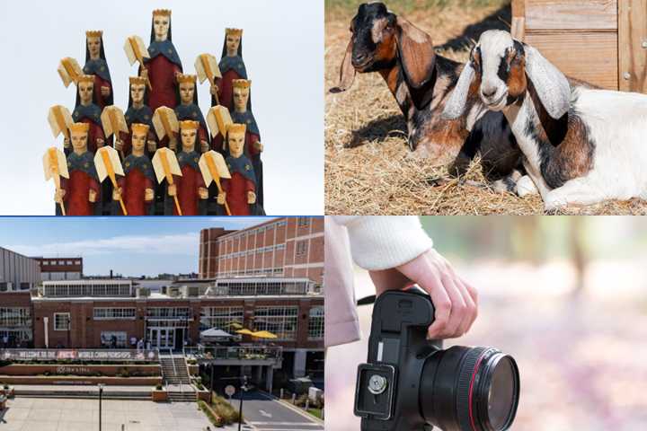 Top events happening around the Charlotte area this weekend