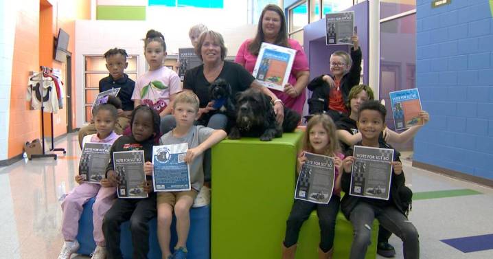 Retired police therapy dog Sgt. Bo up for Hero Dog Awards
