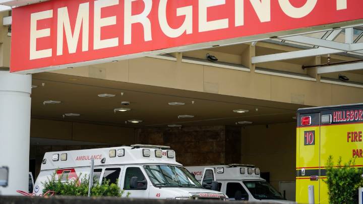 Palm Harbor 3-year-old who died last week had access to a gun, DCF says