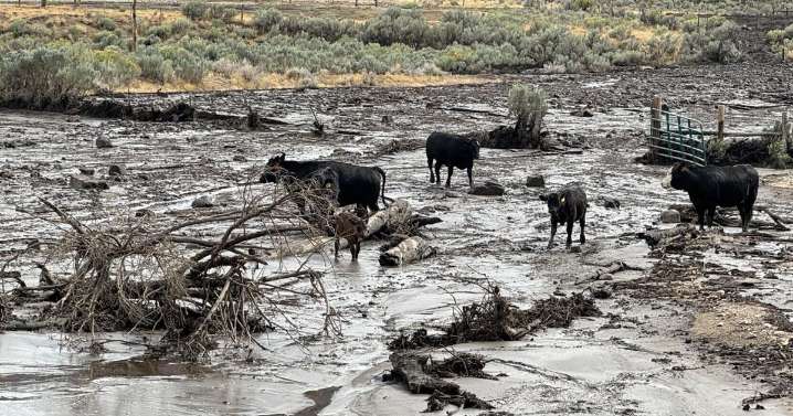 Lee fire in Colorado downsized, flash flooding photos