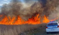 INCENDIO DE PASTIZALES EN LA RUTA 7