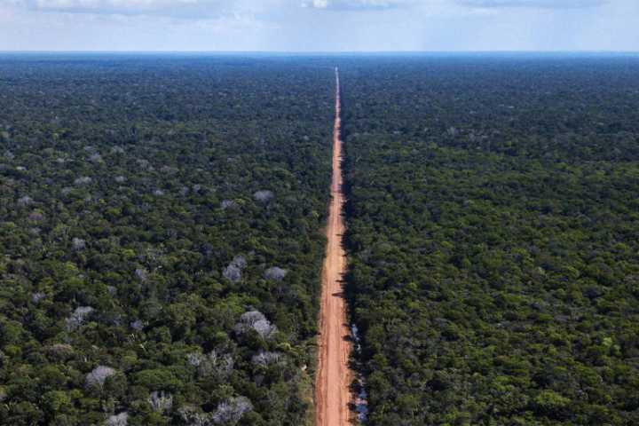 Brazil’s new licensing accord is a gateway to forest destruction via the BR