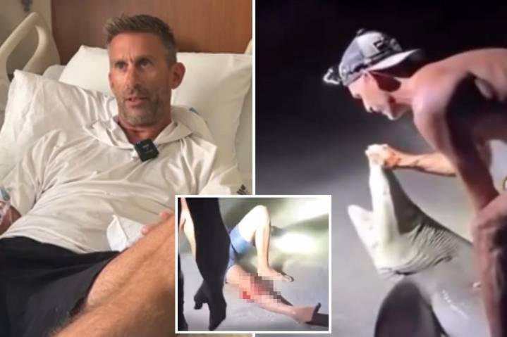 Florida fisherman issues defiant message to shark that bit him during photo op gone wrong: 'See you next time'