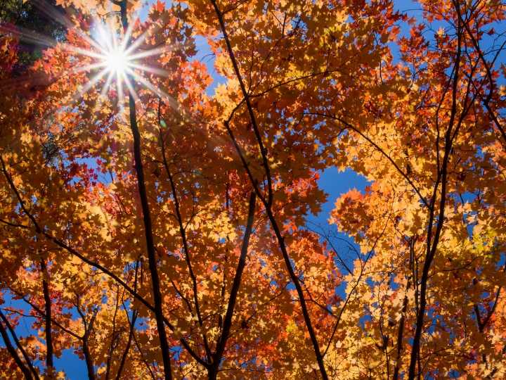 Boston in the running for best place in the US to visit in the fall