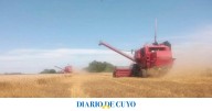 Con lo que pagó de retenciones podría haberse comprado otro campo: el cálculo de un productor que fue viral