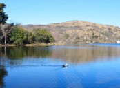 Lago La Quintana: un lugar tranquilo abierto a la práctica de deportes acuáticos en Paravachasca