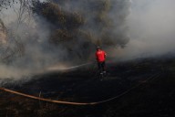 Greece wildfire contained but strong winds prompt evacuations