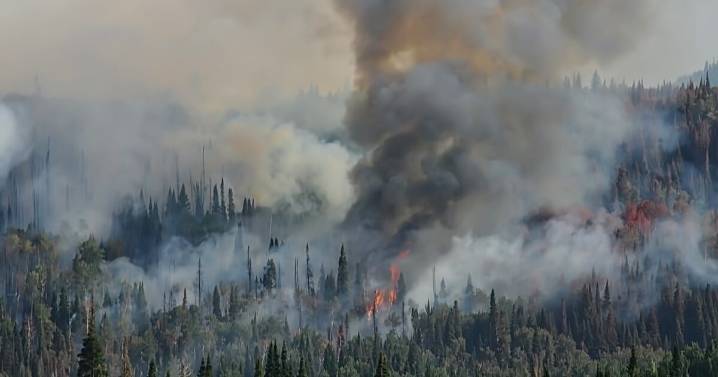 Latest on Colorado wildfires: Crosho Fire 100% contained as of Monday evening