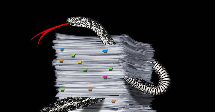 Study sheds light on how reams of fake scientific papers are getting into literature