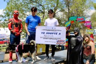 Encuentran hogar 17 perros en programa del Municipio “Adopta como Héroe”