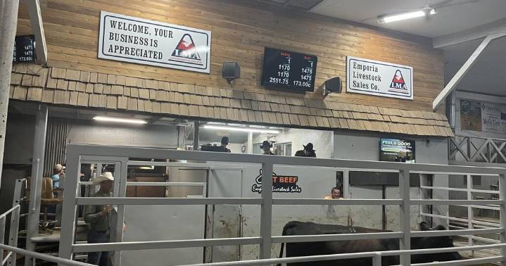 Emporia Livestock Sales see soaring prices