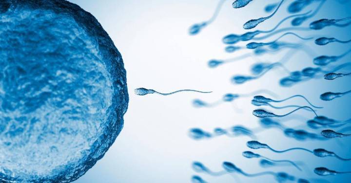 La primera píldora anticonceptiva masculina avanza y demuestra ser segura en humanos
